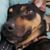 Renee' Winters's profile image