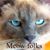 Donna Weaver's profile image