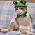 Umar Naz's profile image