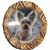 Sandra J Cantrell Huffman's profile image