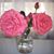 Joy Peterkin's profile image