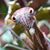 Kelley Shafer's profile image
