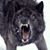 Charles Myatt's profile image