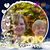 Grace Harold's profile image