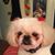 Josete Batty's profile image