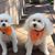 Kathy Killingsworth's profile image