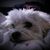 Pamela Hugill's profile image