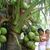 Sameer Samsuddin's profile image