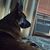 Frank Agrella's profile image