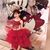 Diana C Alarcon's profile image