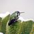 Amanda Grizzard's profile image