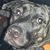 Curtis Norris's profile image