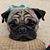 Melissa Scott Bratton's profile image