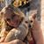 Bri Sapienza's profile image