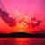 Janet Burchell's profile image