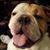Wayne Fischbach's profile image