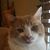 Cyndi Guglielmi's profile image