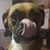 Stephanie Smith's profile image