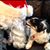 Ann Simonson's profile image