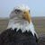 John Cope's profile image