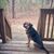 WilliamandMary Johnston's profile image