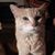 Bev Evers's profile image
