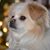 Lisa Prettyman Calhoun's profile image