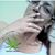 Jeanne Ruiz's profile image