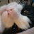 Tahia Hart's profile image
