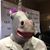Robert McLachlan's profile image