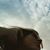 Hannah Tocco's profile image