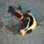 Sean Kelly's profile image