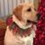 Richa Speir's profile image