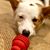 Debra D.'s profile image