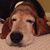 Cindy Muniz Cooley Rapoport's profile image
