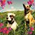 Nancy Mo's profile image