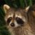 Miguel Bates's profile image