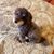 Lorelei Lindow's profile image