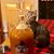 Brian Bellof's profile image