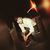 Amit Khandalwal's profile image