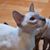 Lillian Louise's profile image