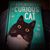 June Curik's profile image