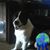 Walt Reichardt's profile image