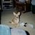 Wanda Childers Owens's profile image