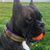 Sarah Moore's profile image