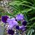 Karen Hubbard's profile image