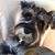 Barbara Evers's profile image
