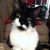 Sue Krasnoger's profile image