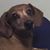 Misty Kimball's profile image