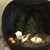 Nanette Sheldon's profile image